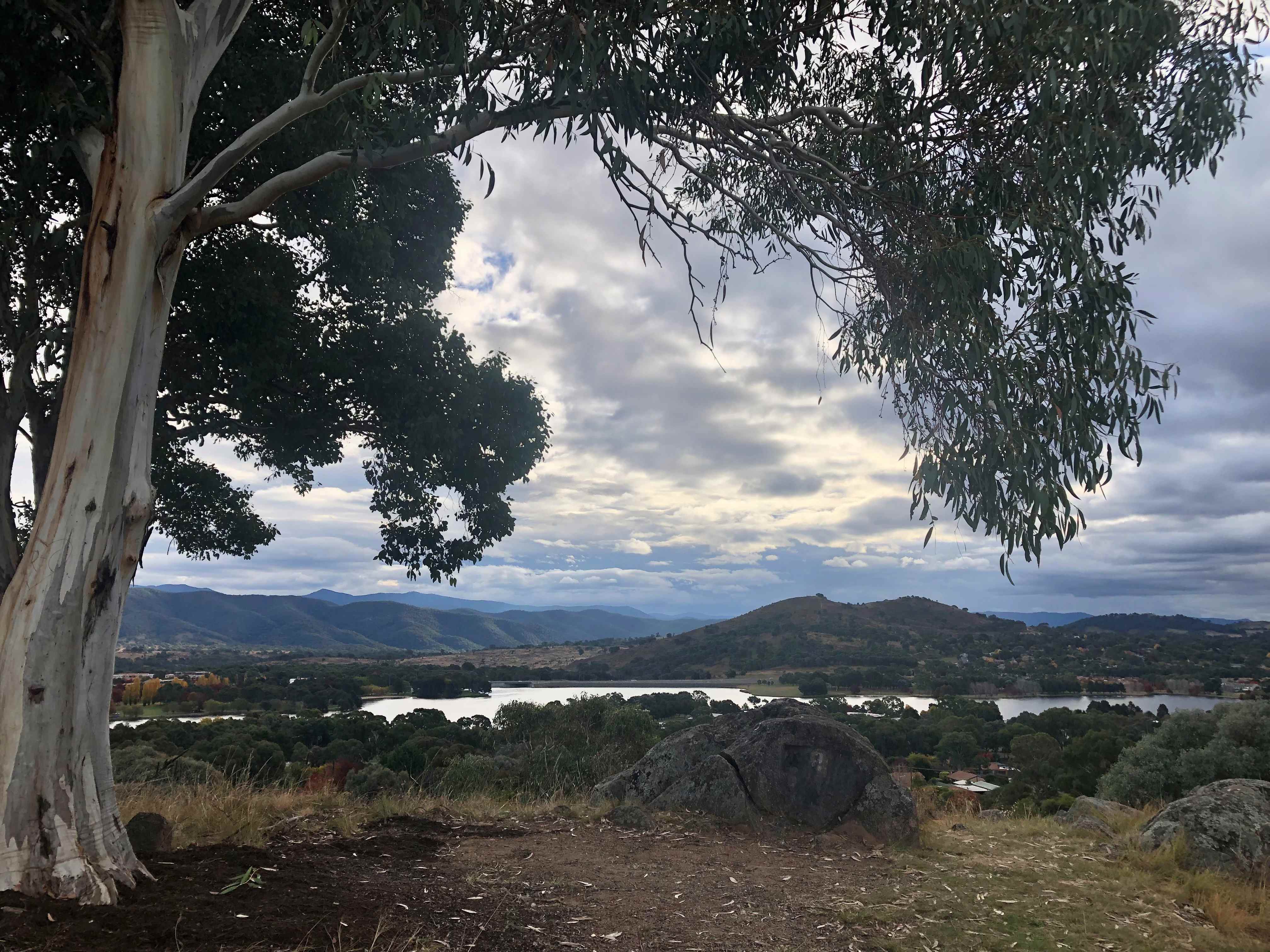 Tuggeranong1